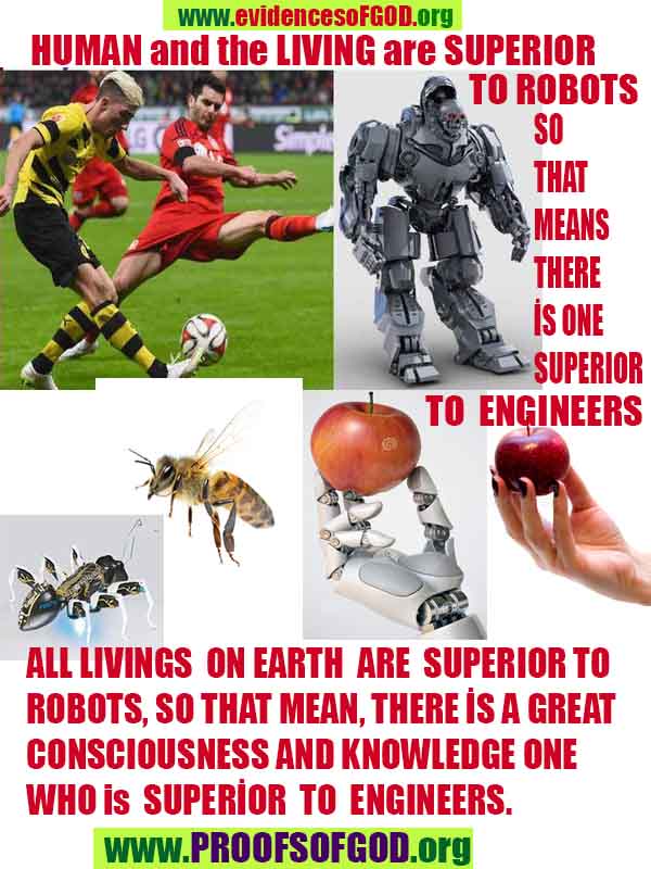 god is real, god exists here proofs, god's proofs, proofs of god, evidences of god, proofs-god, evidences-god, signs-god 