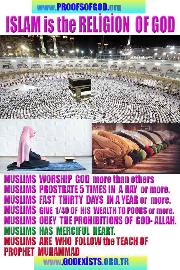 god is real, god exists here proofs, god's proofs, proofs of god, evidences of god, proofs-god, evidences-god 