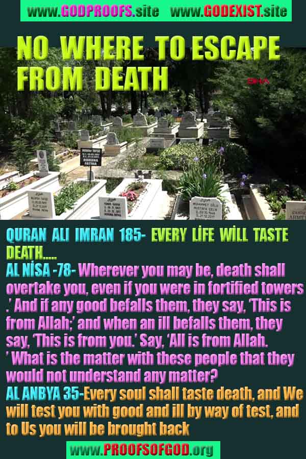 god is real, god exists here proofs, god's proofs, proofs of god, evidences of god, proofs-god, signs-god