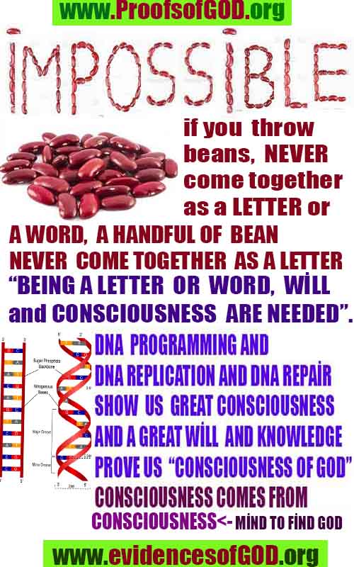 god is real, god exists here proofs, god's proofs, proofs of god, evidences of god, proofs-god, evidences-god, signs-god 