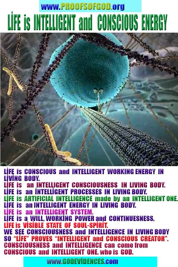 god is real, god exists here proofs, god's proofs, proofs of god, evidences of god, proofs-god, evidences-god 