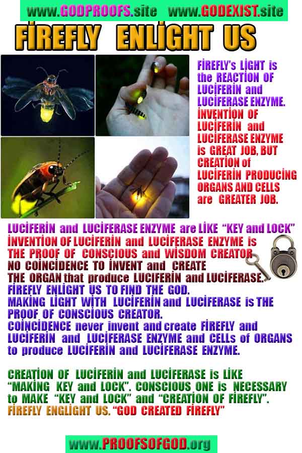 god is real, god exists here proofs, god's proofs, proofs of god, evidences of god, proofs-god, evidences-god, god 