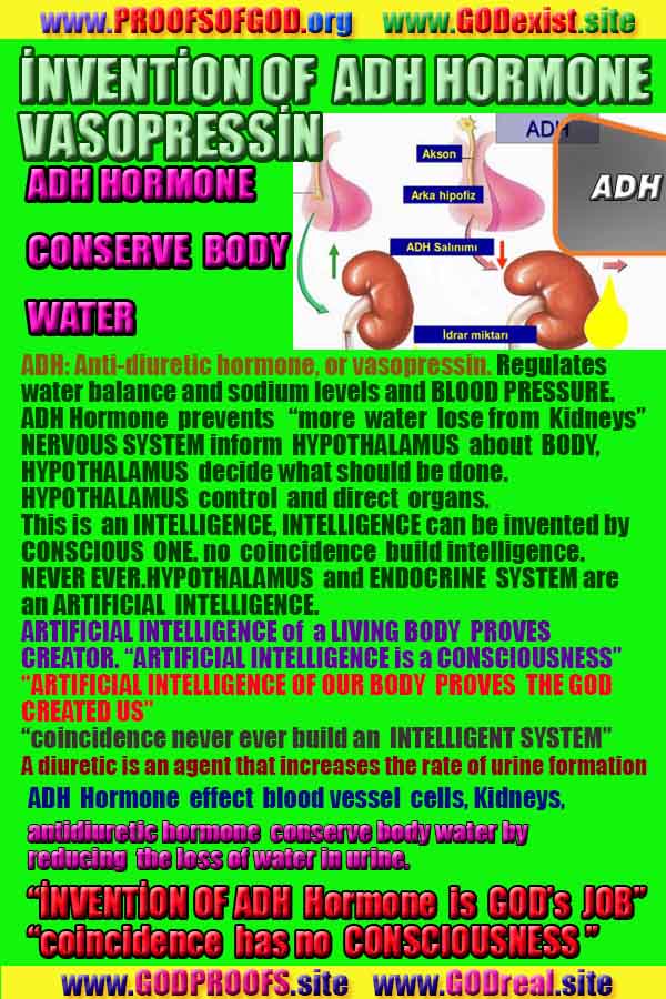 god is real, god exists here proofs, god's proofs, proofs of god, evidences of god, proofs-god, evidences-god, signs-god