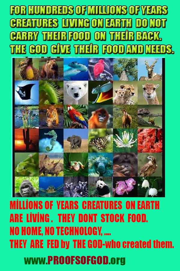 god is real, god exists here proofs, god's proofs, proofs of god, evidences of god, proofs-god, evidences-god, signs-god 