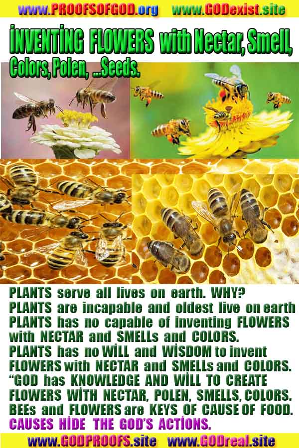 god is real, god exists here proofs, god's proofs, proofs of god, evidences of god, proofs-god, evidences-god, signs-god 