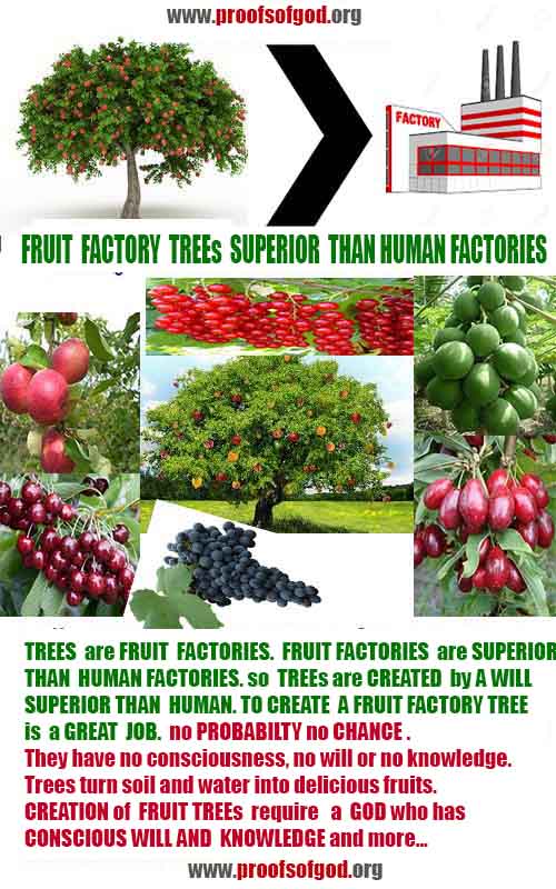 god is real, god exists here proofs, god's proofs, proofs of god, evidences of god, proofs-god, signs-god